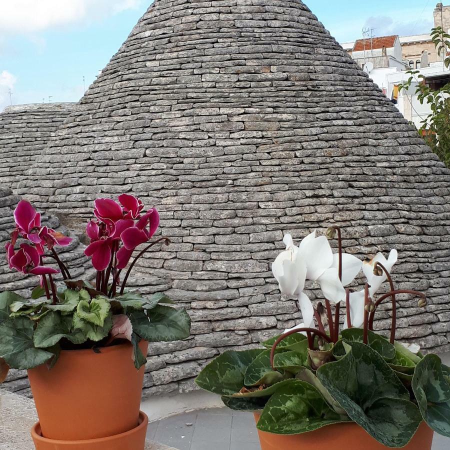 Willa Historich House Largo Martellotta 44 Alberobello Zewnętrze zdjęcie